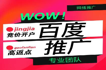 百度推广运营案例分享：助力企业品牌推广